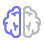 Brain Split In Two Halves