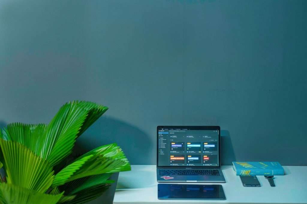 Sleek office desk setup featuring a laptop, tropical plant, and book in a modern design.